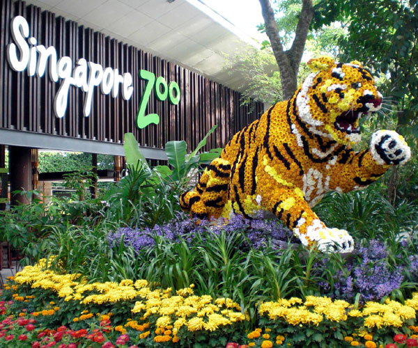 సింగపూర్ జూ (Singapore Zoo)