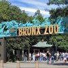 బ్రాంజ్ జూ (Bronx Zoo)