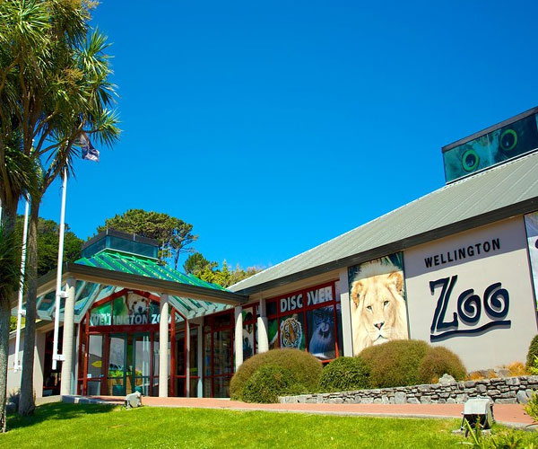 Photo 2of 10 | Bronx Zoo | వెల్లింగ్టన్ జూ (Wellington Zoo)  | Bronx Zoo