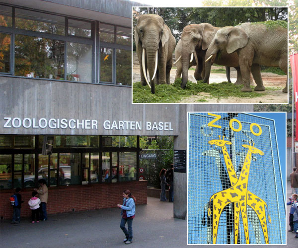 Berlin Zoo | Photo of 0 | Berlin Zoo | జూ బాసెల్ (Zoo Basel)