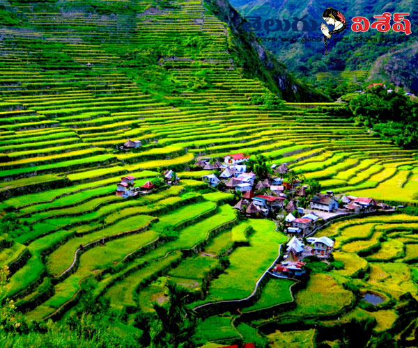 best places in world | బనౌయీ రైస్ టెర్రెసెస్ (Banaue Rice Terraces) | Photo 9of 10 | best tourist spots