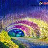 విస్టేరియా టన్నెల్ (Wisteria Tunnel)