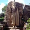 అవుకాన బుద్ధుని విగ్రహం (Avukana Buddha Statue)