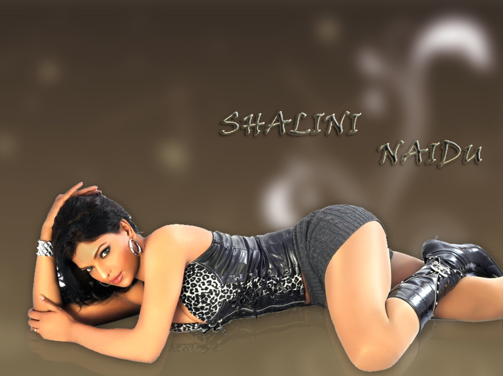 Photo 3of 3 | Shalini Naidu Photos | Shalini Naidu Spicy Photos | Shalini-Naidu-Spicy-Wallpapers-01