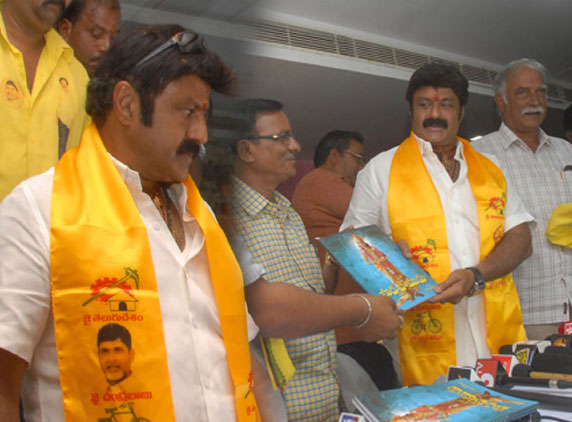 balakrishna-election-campaign-3
