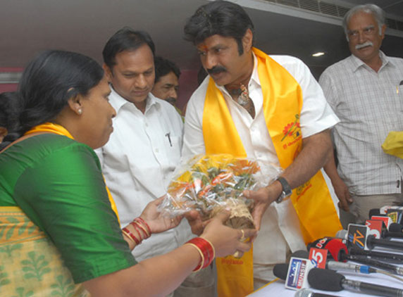 balakrishna-election-campaign