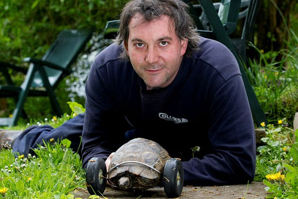 tortise02