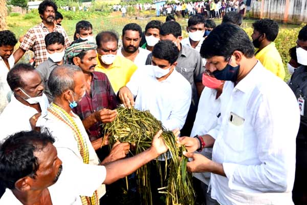 Nara Lokesh Photos