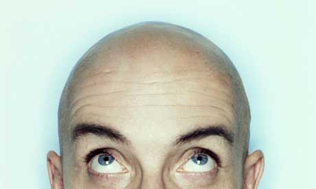 Japanese Scientists Regenerate Human Hair on Bald Mouse