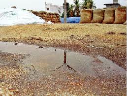 rains
