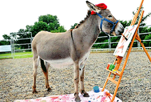 Donkey creates collection of paintings