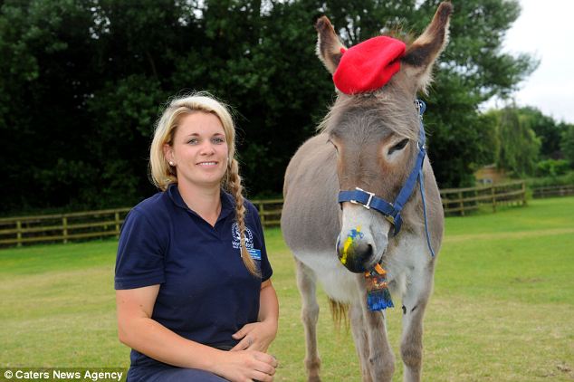 Donkey creates collection of paintings