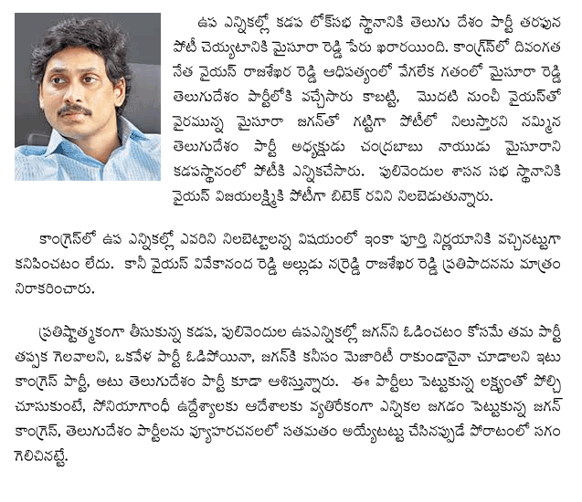 kadapa-elections
