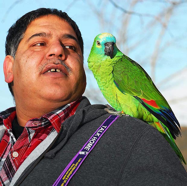 Rocket the parrot speaks three languages