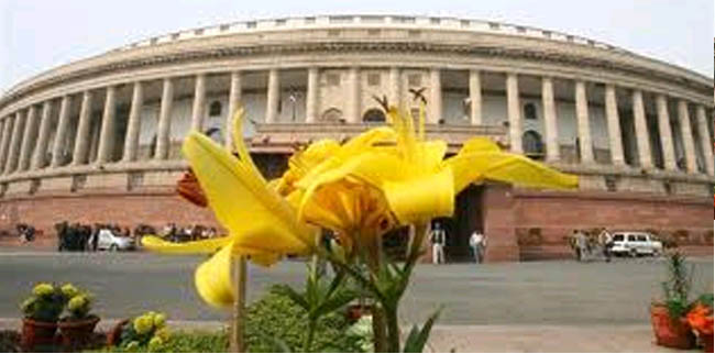 parliament