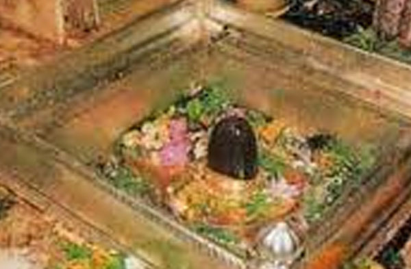 Kashi Vishwanath temple to offer 'pious' manure