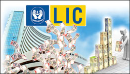 LIC_allowed_to_30_equity