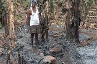 Crops burnt again in tullur mandal of andhrapradesh capital region
