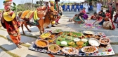 History of sankranthi in telugu