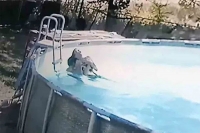 Ten year old boy saves his mother from drowning in pool after she has a seizure