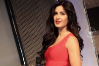 Katrina says about her career in film industry