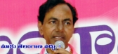 Trs party will supports rayala telangana