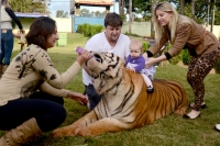 Living with tigers family share home with pets
