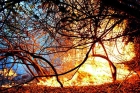Fire erupts again in tirumala forest area