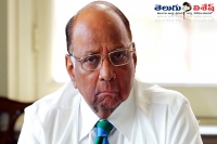 Sharad pawar to contest bcci elections