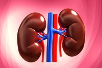 The healthy food items for kidneys which prevents diseases