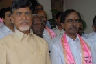 Chandrababu naidu comments on kcr