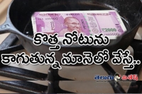 Animal fat bank note news viral in india