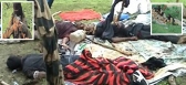 14 maoists killed in encounter in odisha