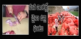 We may import onion from china says sharad pawar