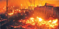 170 houses gutted in fire broke at kakinada