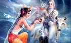 Profits of shiva poojas