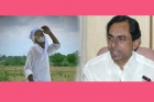 Cm kcr review over loan waiver