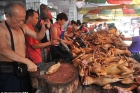 Chinese dog eating festival