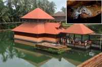 Anantha padmanabha swamy temple in kerala guarded by devotee crocodile for hundreds of years