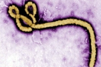 Man shows traces of ebola virus quarantined in delhi