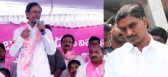 Telangana news trs mla harish rao vs kcr
