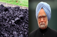 Don t you feel need to question manmohan singh in coalgate court asks cbi