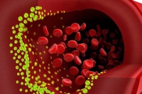 The super foods which melt and remove unnecessary cholesterol in human body