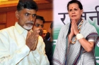Tie knot between tdp and congress party in telangana state for jilla parishad elections