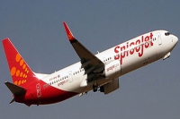 Spicejet ups ante with cheaper than train fares at rs 599