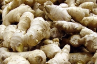 Ginger health benefits nutrients diseases problems