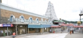 Rare sight at tirumala hills