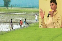 Ap cm chandrababu naidu on farmers at assembly