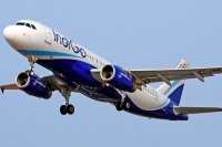 All inclusive air tickets at rs 829 as indigo joins fare war