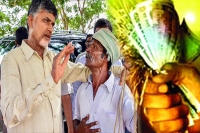 Chandrababu begs kcr for what